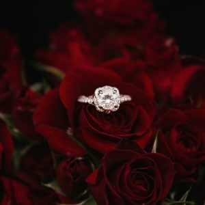 Diamond Ring in roses