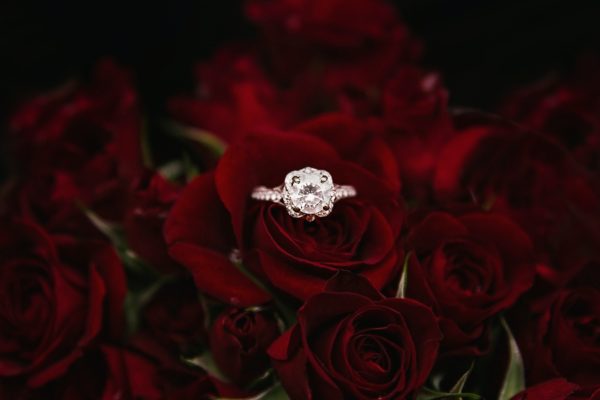 Diamond Ring in roses